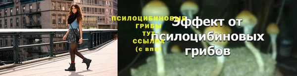 первитин Нязепетровск