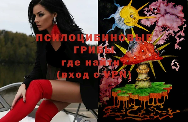 мдма Няндома