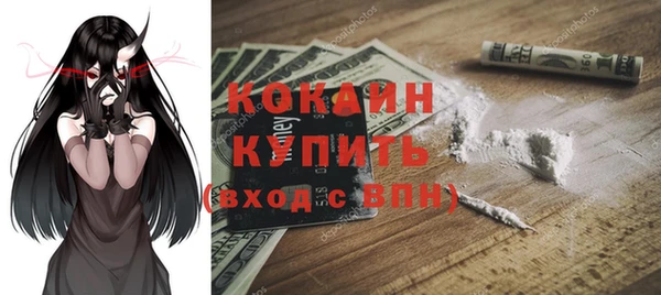 винт Богданович