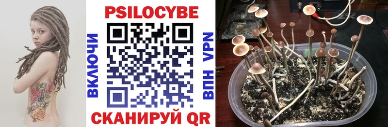 Псилоцибиновые грибы Magic Shrooms  нарко площадка формула  Старая Купавна 