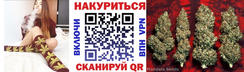 где найти   Старая Купавна  Шишки марихуана White Widow 